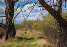 В России начало мая будет необычайно теплым - НТР 24