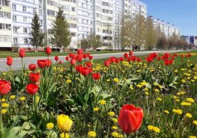 Ветер и до 26 градусов тепла обещают татарстанские синоптики 6 мая - НТР 24