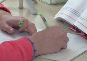 С 12 мая татарстанские школьники продолжат учёбу в дистанционном формате