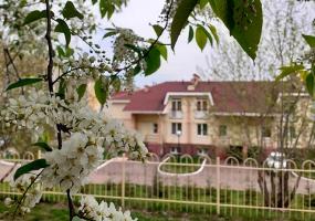 Тепло, но дождливо: какой будет погода в Татарстане 8 мая - НТР 24