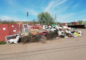 Жители Нижнекамска жалуются на свалку мусора возле дачных массивов