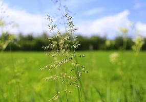 Главный синоптик России пообещал тёплое лето - НТР 24