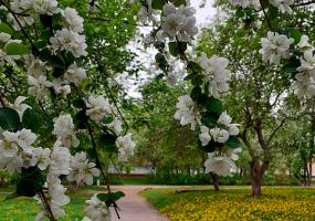 В Татарстан в середине недели придут похолодание и дожди - НТР 24