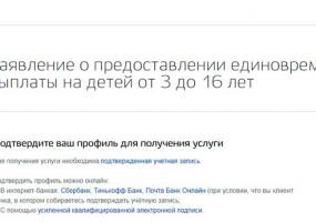 На госуслугах запустили сервис для оформления пособия на детей до 16 лет - НТР 24
