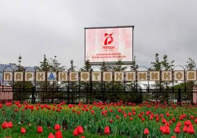 Татарстанцев ожидают ночные заморозки до -2 градусов - НТР 24