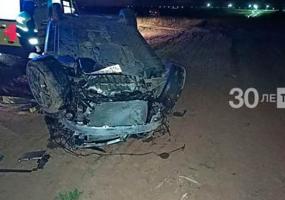 В Татарстане водитель сбил лося и улетел в кювет - НТР 24