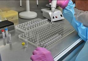 В Татарстане выявлено 84 новых случая коронавируса - НТР 24