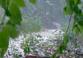 Гроза и град: в Татарстане объявили штормовое предупреждение - НТР 24