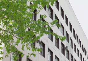 Еще два пациента с COVID-19 госпитализированы в госпиталь Нижнекамска - НТР 24