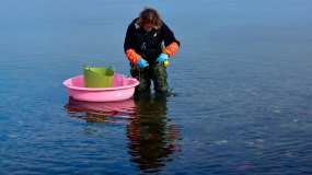 Любителю ловить рыбу острогой из Нижнекамска грозит до двух лет лишения свободы - НТР 24