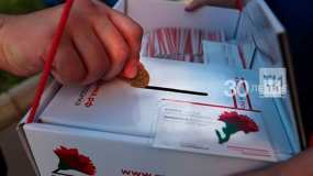 Татарстанцы могут помочь ветеранам, купив значок «Красная гвоздика» - НТР 24