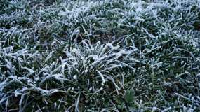 В Татарстане объявили штормовое предупреждение о заморозках - НТР 24