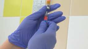 В России хотят запретить приём в детсады и школы детей без прививок - НТР 24