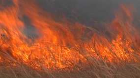 В период особого противопожарного режима в Нижнекамске случилось 19 пожаров