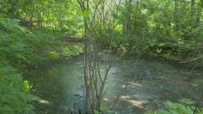Экологи представили результаты проб воды в реке Уратьминка, куда сбрасываются нечистоты