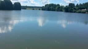 В Татарстане в пруду утонул мужчина - НТР 24