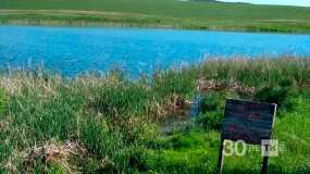 Мужчина после выпивки с друзьям пошёл купаться и утонул - НТР 24