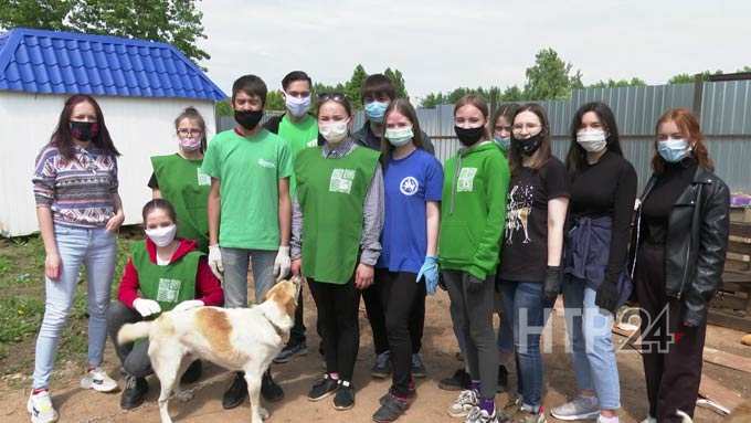 Нижнекамские волонтёры убрались в приюте для животных