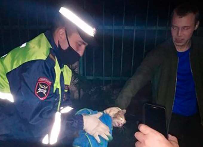 В Нижнекамске сотрудники ГИБДД спасли котёнка, который застрял в моторном отсеке