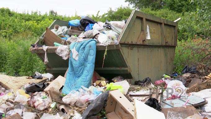 Садоводы СНТ «Индустрия» просят перенести незаконно установленные мусорные контейнеры