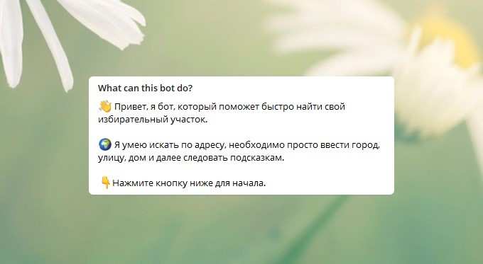 В Татарстане запустили единственный в стране чат-бот для поиска избирательного участка