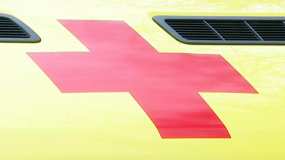 В Челнах на дереве нашли труп - НТР 24