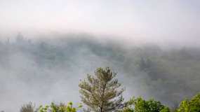 Синоптики предупредили о тумане в Татарстане - НТР 24