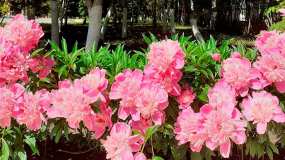 Небольшое похолодание пообещали синоптики татарстанцам в четверг - НТР 24