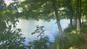 В Нижнекамске на берегу озера полиция и ГИМС проводят разъяснительные беседы - НТР 24