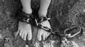 В Ростовской области задержали банду рабовладельцев