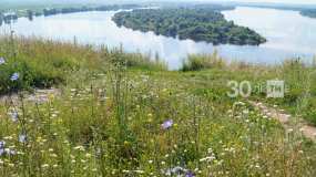 Депутат Госсовета: Поправки позитивно изменят отношение россиян к экологии - НТР 24