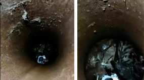 В Татарстане дети помогли спасти котёнка, который упал в трубу - НТР 24