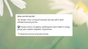 В Татарстане запустили единственный в стране чат-бот для поиска избирательного участка - НТР 24