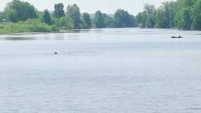 В Татарстане вторые сутки ведутся поиски рыбака