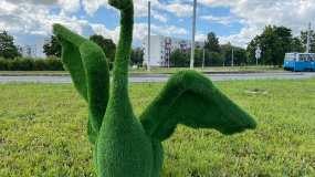 На городских клумбах в Нижнекамске высадят 200 тыс цветов - НТР 24