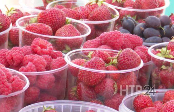 Ягодный сезон: за сколько продают свежие ягоды в Нижнекамске?