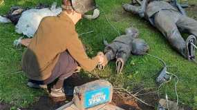 В нижнекамском парке «СемьЯ» появится новая композиция - НТР 24