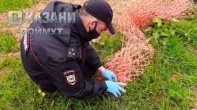 Сотрудники полиции спасли запутавшегося в сетке ежа в Татарстане