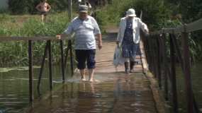 Нижнекамские дачники требуют отремонтировать мост, который уходит под воду - НТР 24