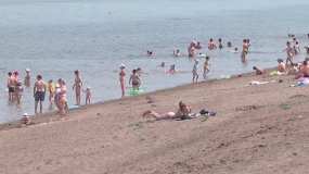 В Нижнекамске усилен контроль за водоёмами и лесами - НТР 24