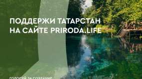 Нижнекамцы могут проголосовать за создание в Татарстане туристско-рекреационного кластера - НТР 24