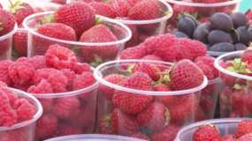 Ягодный сезон: за сколько продают свежие ягоды в Нижнекамске?