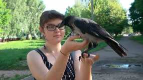 В Нижнекамске завелась ещё одна ручная ворона