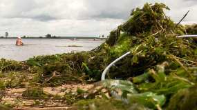 В Нижнекамске побережье Камы очистили от водорослей