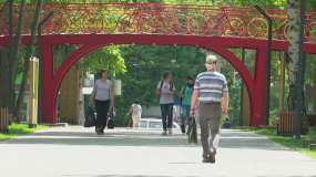 Что ждёт россиян с августа 2020 года - НТР 24