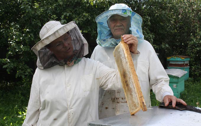 Житель Нижнекамского района рассказал, какие пчёлы добывают «правильный мед»