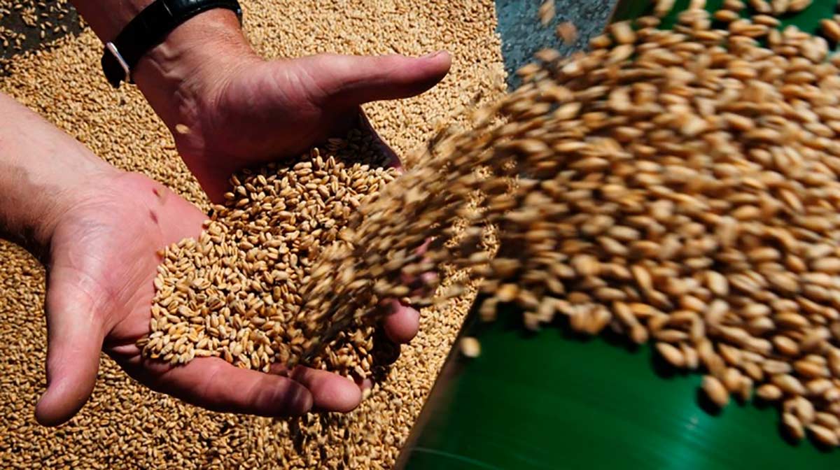 Первый миллион тонн зерна нового урожая собран в Татарстане