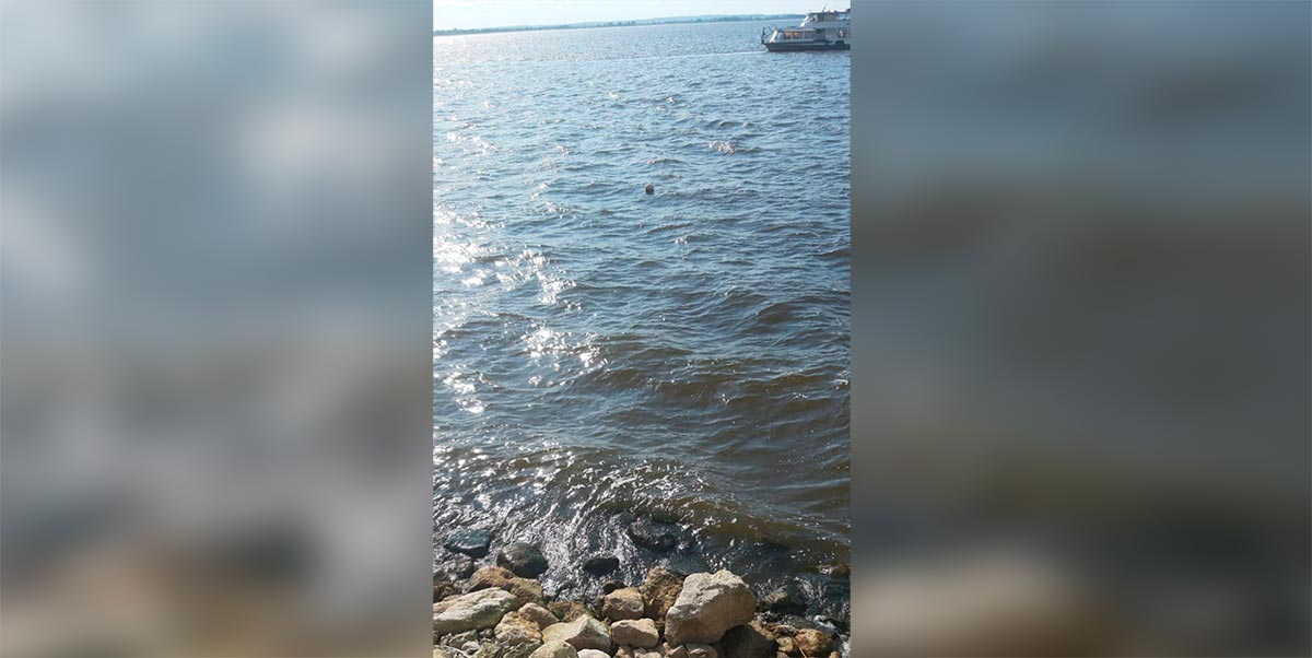 Татарстанец отдыхал с друзьями на реке, решил перед уходом домой искупаться и утонул
