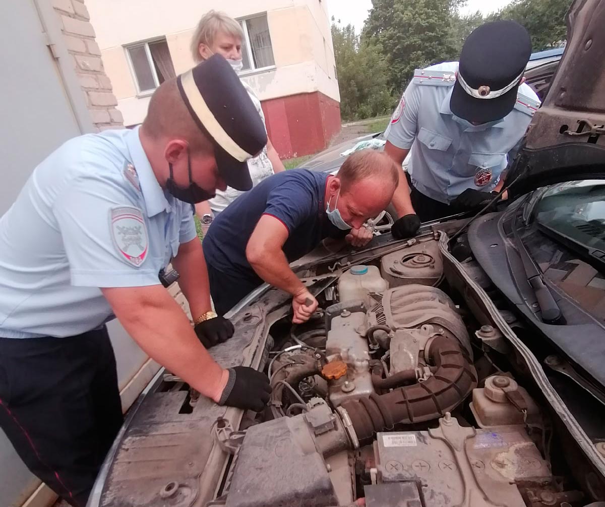 Появилось видео спасения кошки из-под капота автомобиля в Нижнекамске — НТР  24