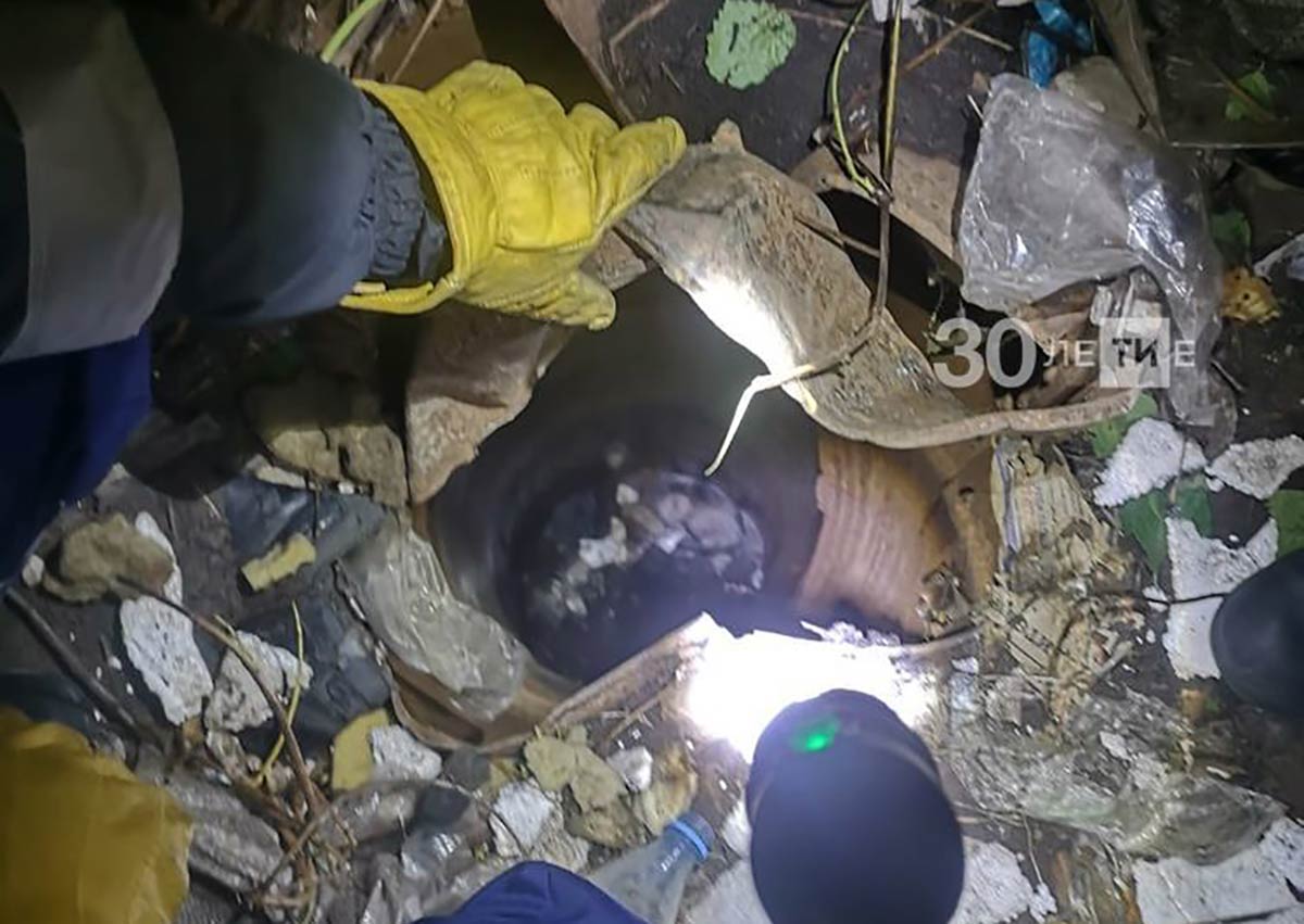 В Татарстане мужчина пытался спасти щенка из колодца и упал в него сам